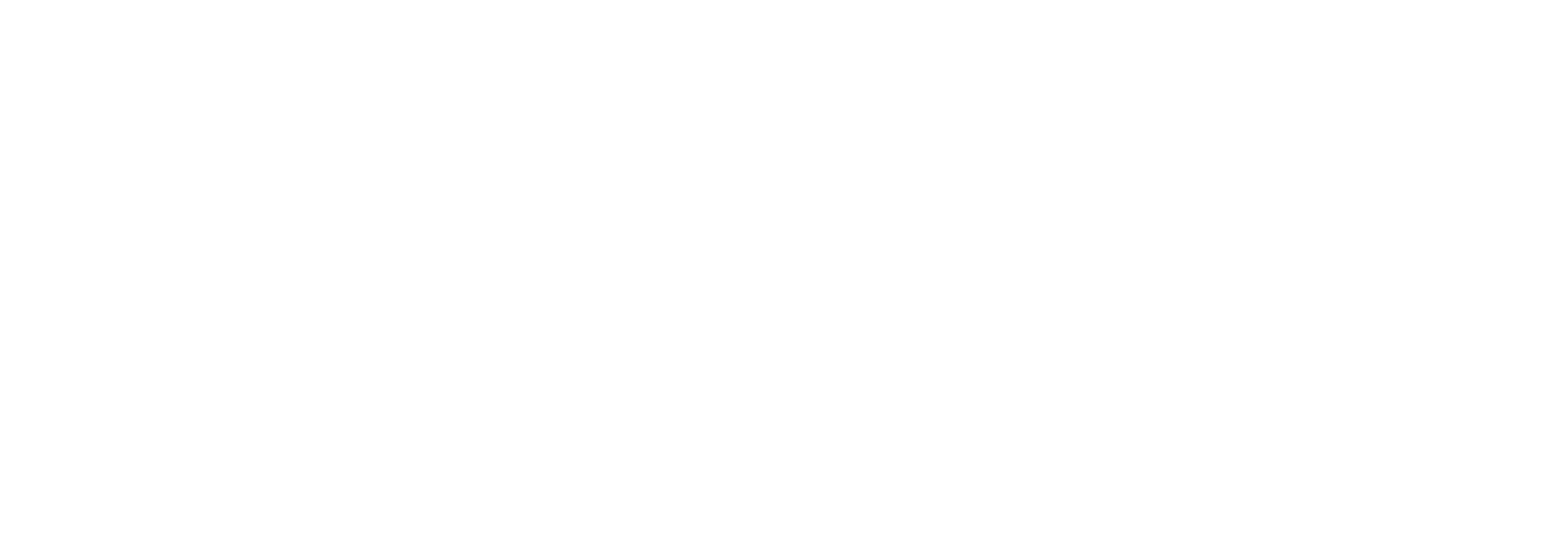 light logo